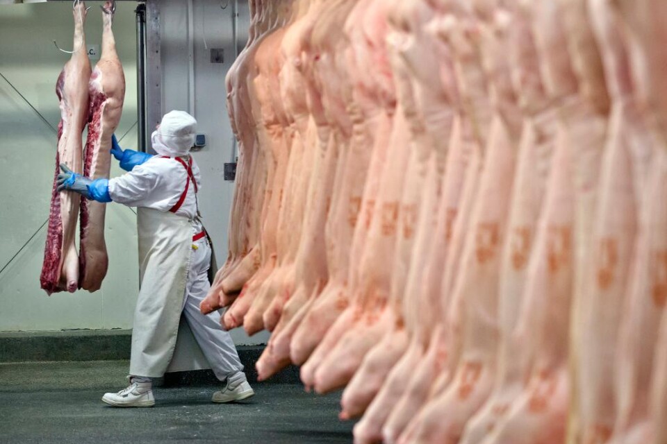 Två år efter den stora köttskandalen, där hästkött såldes vidare i den europeiska livsmedelkedjan som nötkött, har 26 personer gripits. De misstänks för inblandning i ett organiserat kriminellt nätverk som handlat med illegalt hästkött. Enligt franska