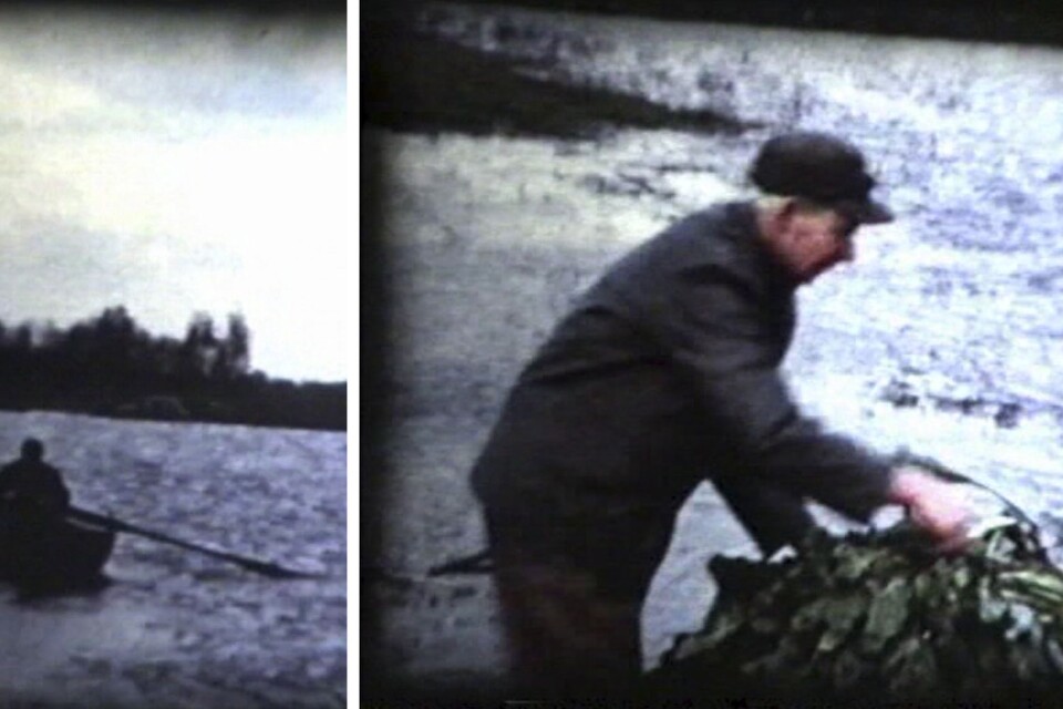 I oktober 1960 tvingades Thorsten Karlsson att skörda sina sockerbetor med båt på åkern.