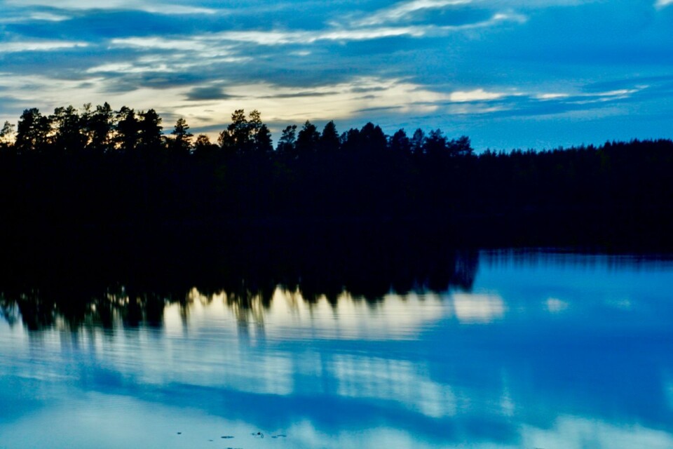 ”Min slutsats är att skogarna vid Hornsö har för stora biologiska värden för att förvaltas av ett skogsbolag.”