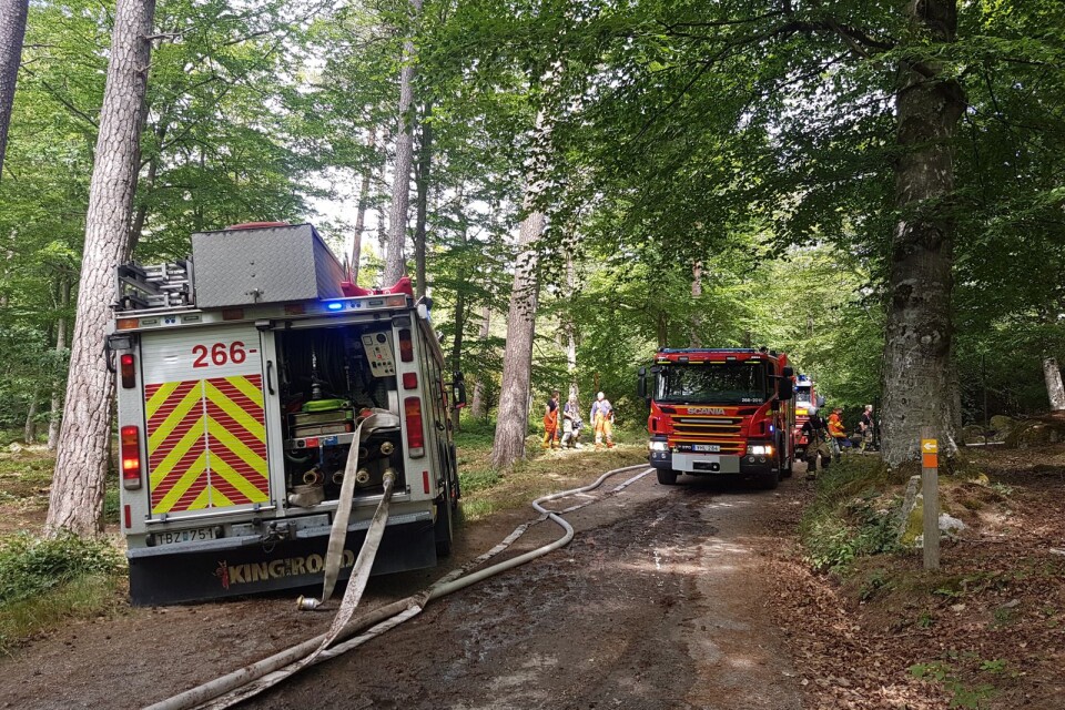 Räddningstjänsten fick rycka ut till en brand vid Trollsjön i Brunnsskogen i Ronneby på måndagen.