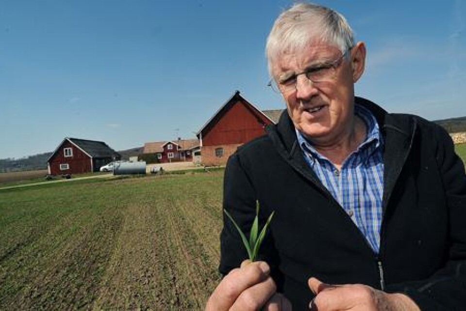 Andra generationen. Sven Götesson tog över gården från sina föräldrar för 40 år sedan. De bistra tiderna innebär sämre lönsamhet för växtodling.