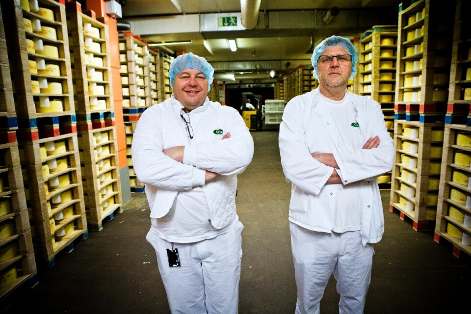 På Arla Kalmar produceras varje år 15 000 ton ost.  Niels A Bröchner är mejerichef och Ola Lindblom, produktutvecklare. Foto: Paul Madej