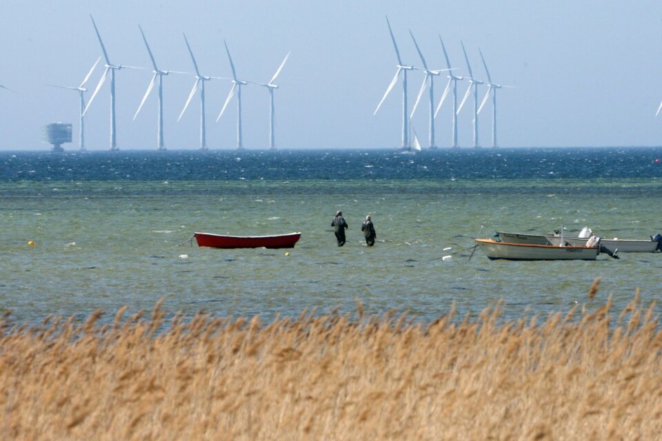 Vindkraft till havs är inte tillräckligt pålitligt för att subventioneras.