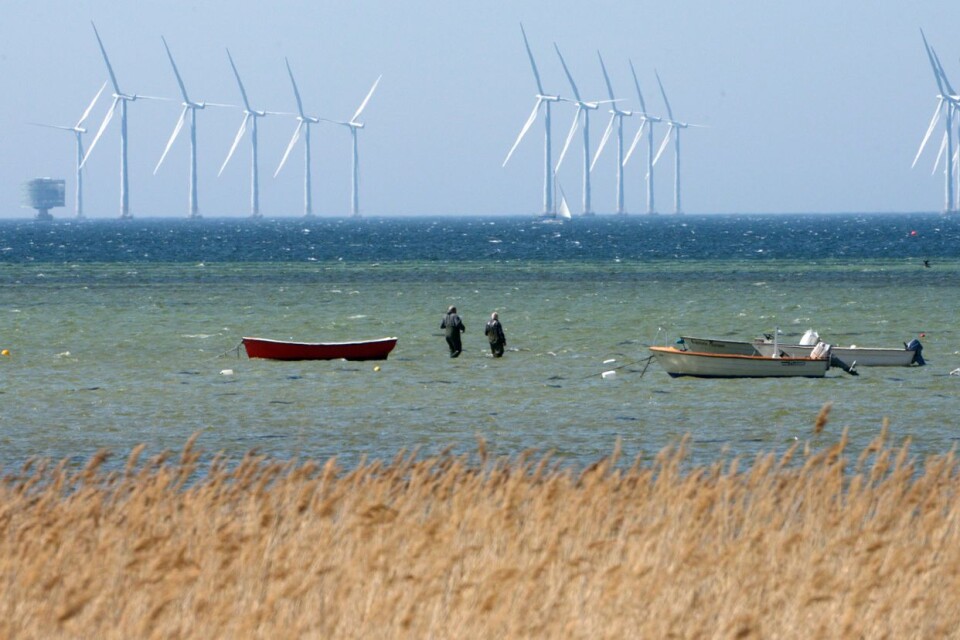 Närboende till vindkraftverk till havs störs inte av verken, skriver företrädare för branschen. Bilden visar vindkraftverken på Lillgrund som beskrivs i insändaren.