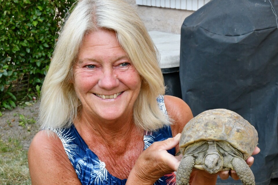 Lisa Andersson och sköldpaddan Helga.