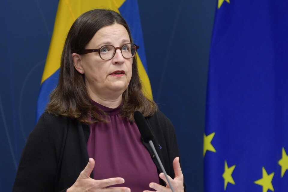 En tillfällig lösning återställer tillgången till uppgifter om skolor, enligt utbildningsminister Anna Ekström (S).
