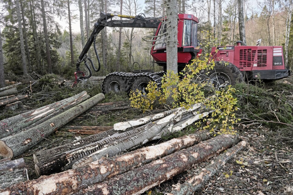 ”Nu är det hög tid för Västra Götalands markägare att tänka igenom vad som ska uppnås med den skog man äger”, skriver företrädare för Skogssällskapet.