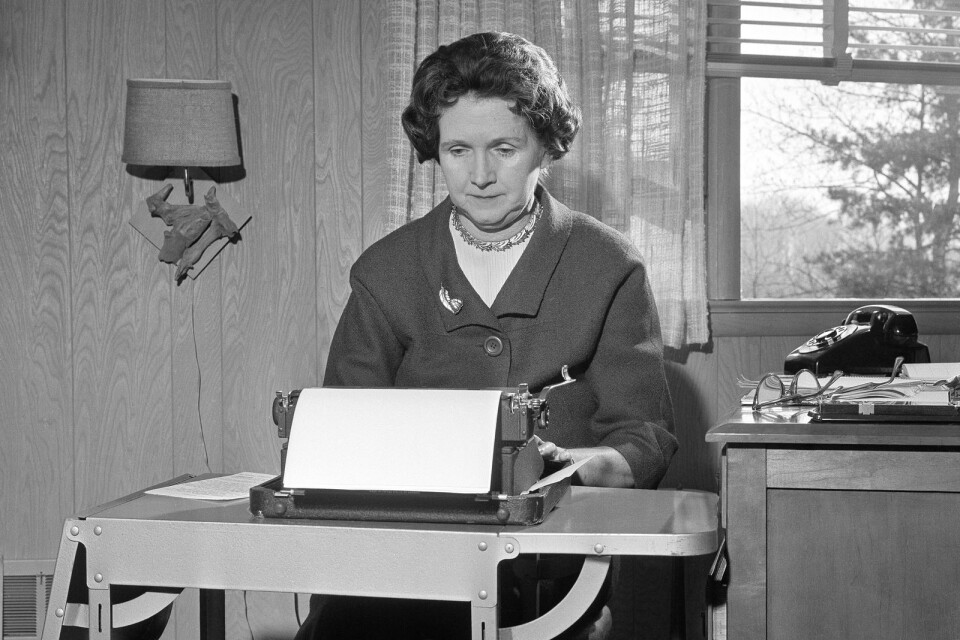 Rachel Carson (1907-1964) ses här vid sin skrivmaskin, 1963. Nyligen utkom hennes mest kända bok, ”Tyst vår” åter på svenska.