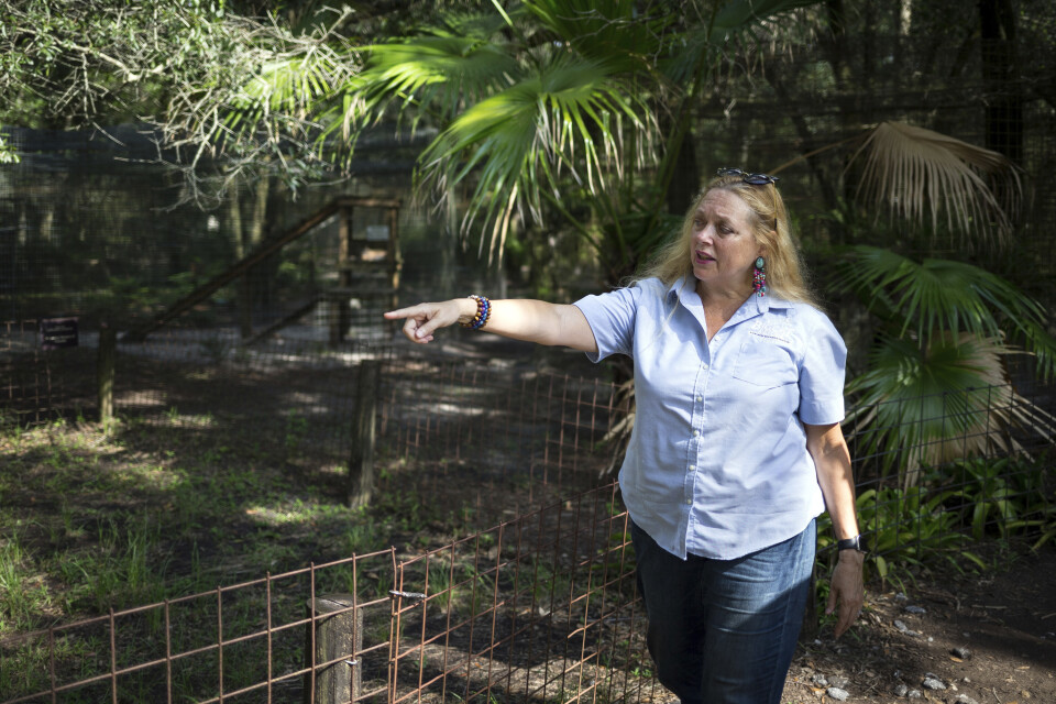 Carol Baskin på sitt djurskyddscenter i Florida. Arkivbild.