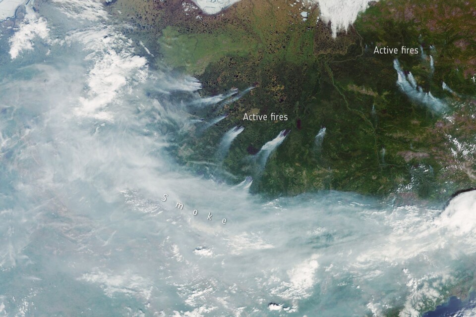 Bränder i Sibiren under juni 2020. Innehåller Copernicus Sentinel data (2020)