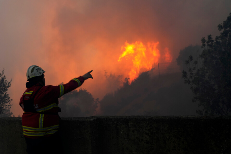 En skogsbrand utanför Lissabon i Portugal i slutet av juli. Arkivbild