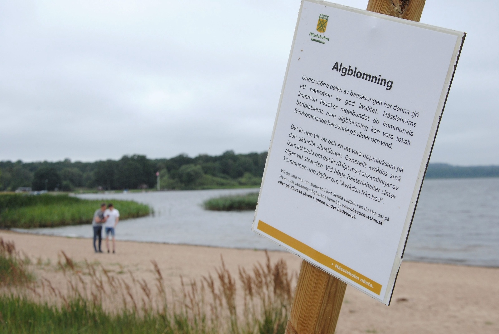 En ny skylt med mer svepande text än ett förbud har satts upp vid Björkviken i Finjasjön. Titta på vattnet och bedöm själv, är innebörden.
Foto: Kristina Höjendal