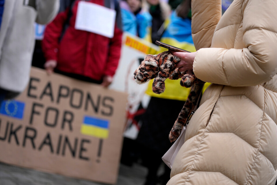 En demonstrant som förespråkar vapenstöd till Ukraina bar ett mjukisdjur föreställande en leopard, i Bryssel på måndagen.