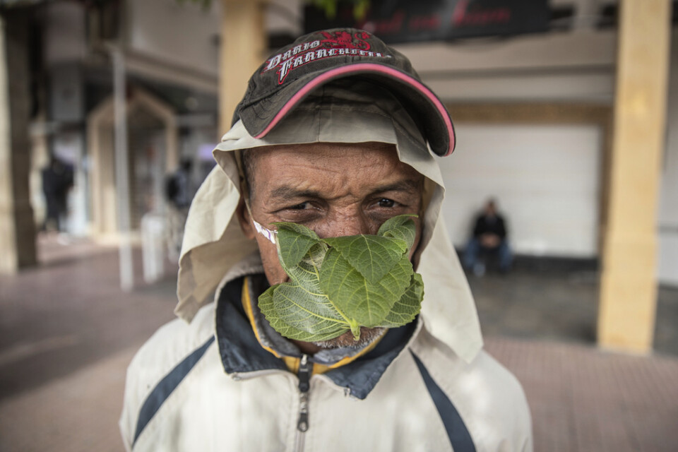 En man i Marockos huvudstad Rabat har tillverkat ett munskydd av ett fikonlöv för att skydda sig mot smitta. Arkivbild.
