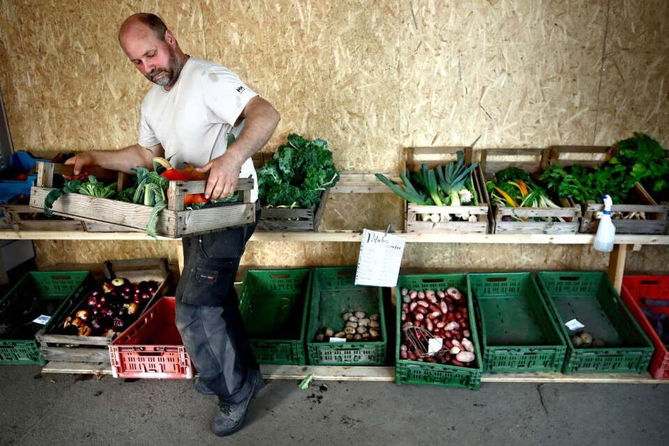 Grönsaksodlingen och försäljningen av grönsaker är än så länge Solmarka gårds viktigaste inkomstkälla.