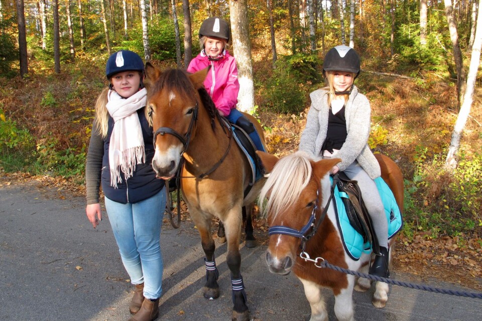 Selma Andersson leder hästen Vindar med 8-åriga Ellie Lindström i sadeln, medan klasskamraten Alma Jönsson tar en tur med Ernst.
