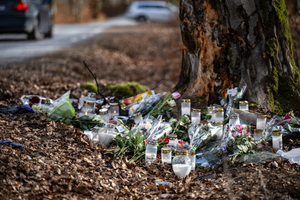 Mars tidigare i år: Blommor, ljus och minnessaker vid det träd i en kurva på väg 2004 mellan Djurröd och Östra Eljaröd väster om Kristianstad där en personbil med sju personer kraschade. Arkivbild.