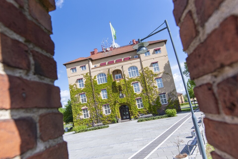Argumenten om varför högskolan måste flytta in till Kristianstad centrum faller platt om man nu för seriösa diskussioner om en flytt till Hässleholm, skriver debattören.