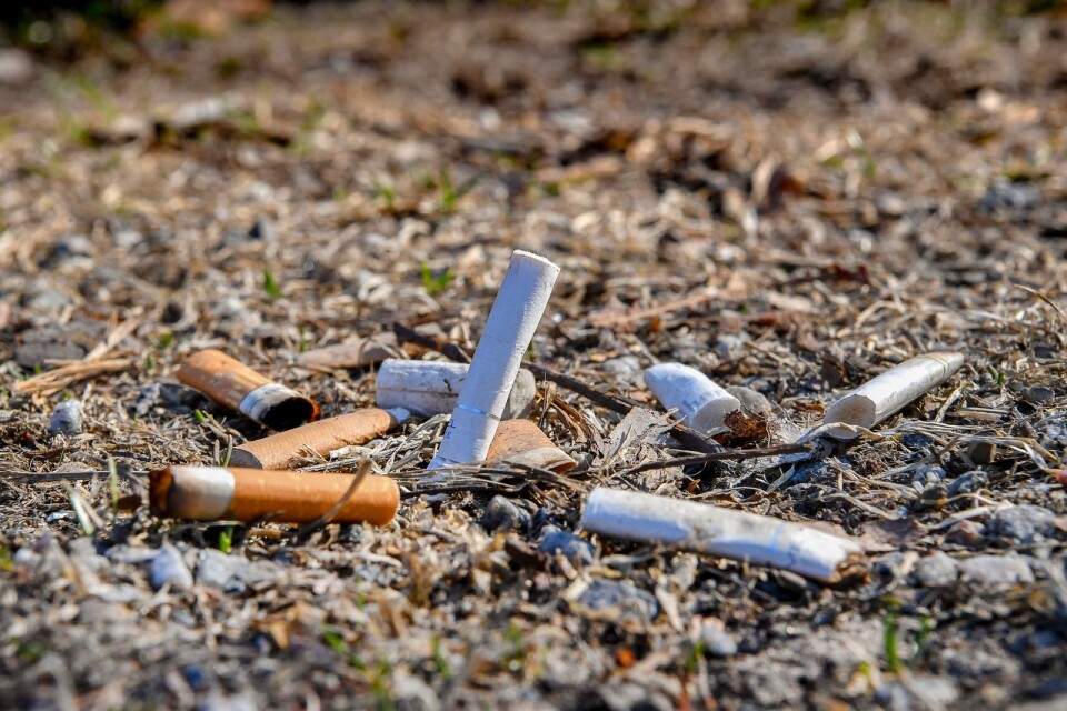 Cigarettfimpen är det vanligaste skräpet på marken.