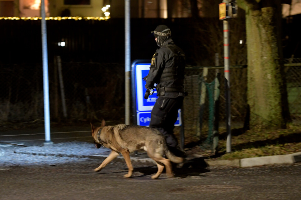 Polis med hund arbetar i Solna norr om Stockholm efter att en man har skjutits.
