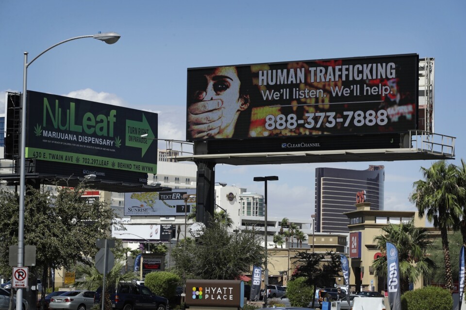 En skylt med numret till amerikanska National Human Trafficking Hotline i Las Vegas, USA. Arkivbild.