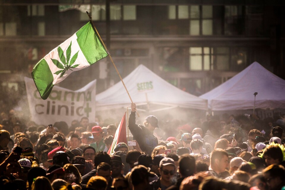 Den nya cannabislagen klubbades igenom i parlamentet i somras, efter några års debatt. Arkivbild från en demonstration i Toronto april 2016.