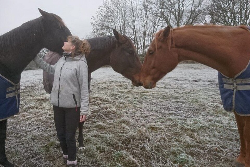 Reeni Källström fick panik när en av hennes inackorderingar fick avlivas efter att det konstaterats att hästen bar på EHV-1 viurs. Det är mycket smittsamt under utbrottet både via luft och direktkontakt. FOTO: PRIVAT
