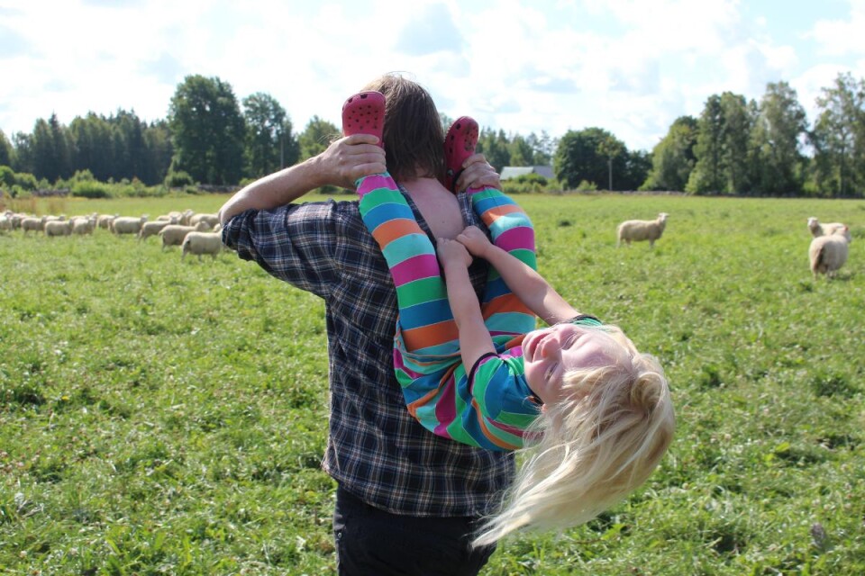 Daniel Lund och dottern Edith är på väg ut till i hagen för att hälsa på fåren.