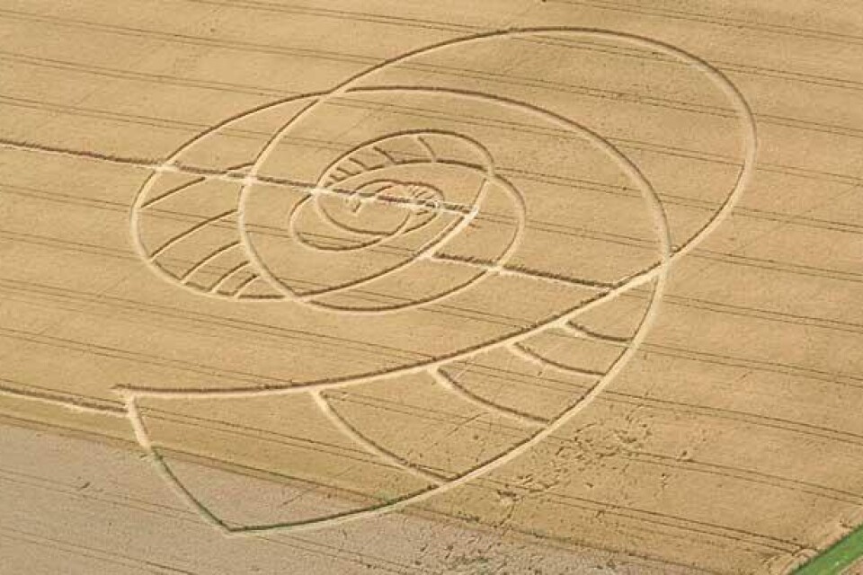 Cirklar i sädesfält i Schweiz.