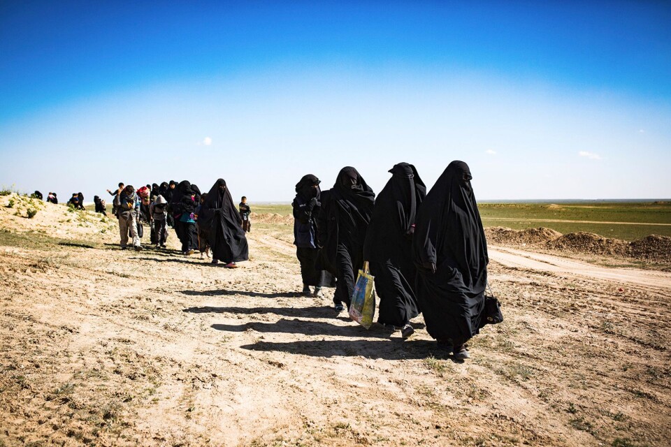 Kalifatets sista dagar. Kvinnor och barn på väg till uppsamlingslägret i al Hawl efter att ta ha flytt från striderna i och kring byn Baghuz vid gränsen mellan Syrien och Irak.