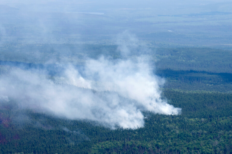 Flera hundra skogsbränder rasar för närvarande i Kanada. Här syns rök från en brand nära Lebel-sur-Quevillon i Quebec. Bilden togs 5 juli.