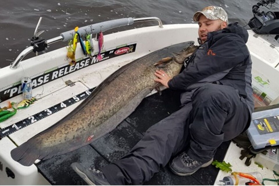Kevin Hoogesteyn from Klippan caught a huge catfish that he thinks weighed 30 kilos.