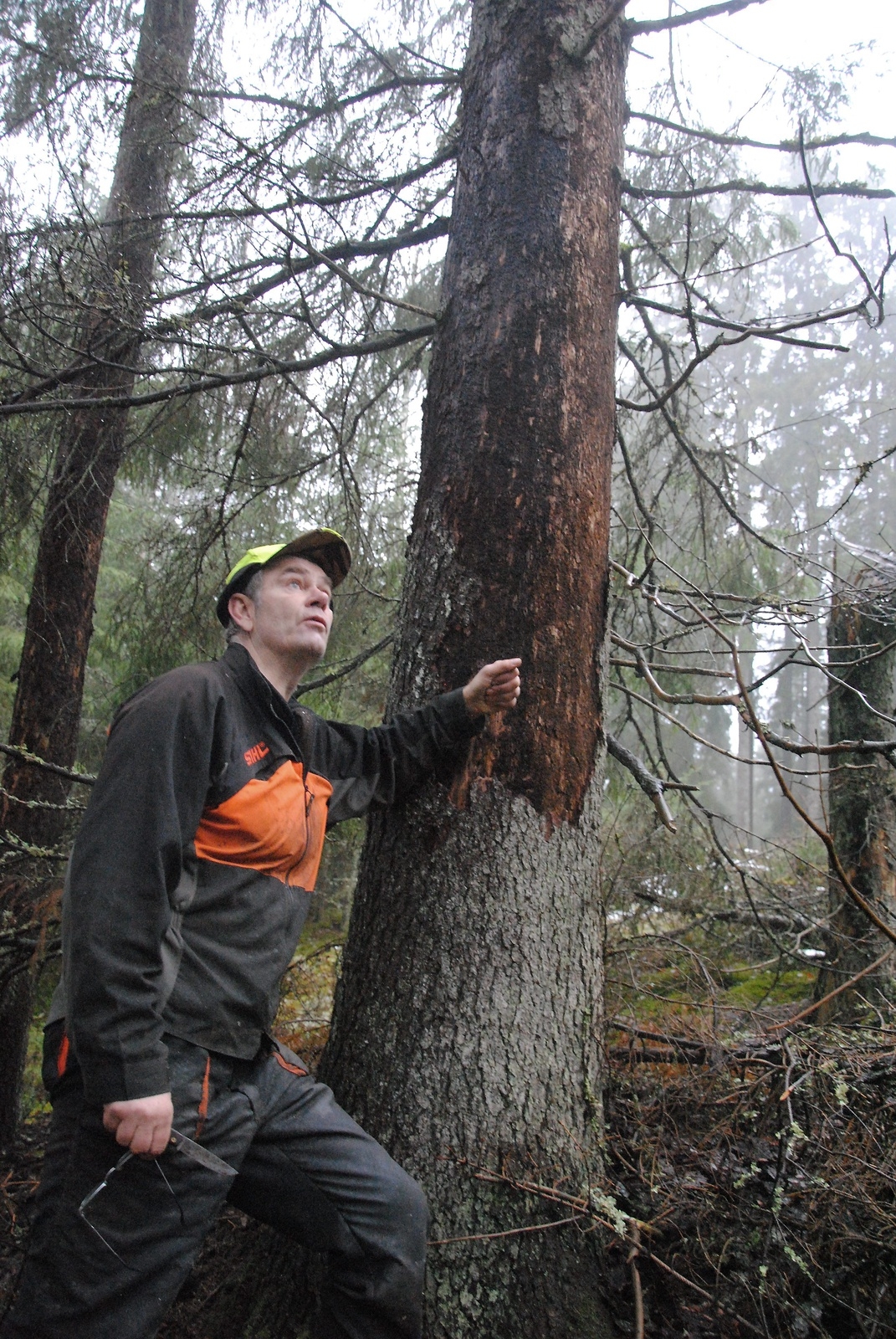 – Nu måste alla skogsägare ta sitt ansvar för sin skog, uppmanar skogsägare Lars-Erik Levin som under hela sitt 64-åriga liv har arbetat i skogen. Foto: Maja Ögren Andersson