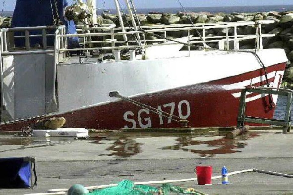 Senapsgasbomben. Den uppdragna granaten låg på fiskbackar i hamnen. Fisken som fångades i samma trål kastades tillbaka i vattnet. Bilder: RONNIE SMITH