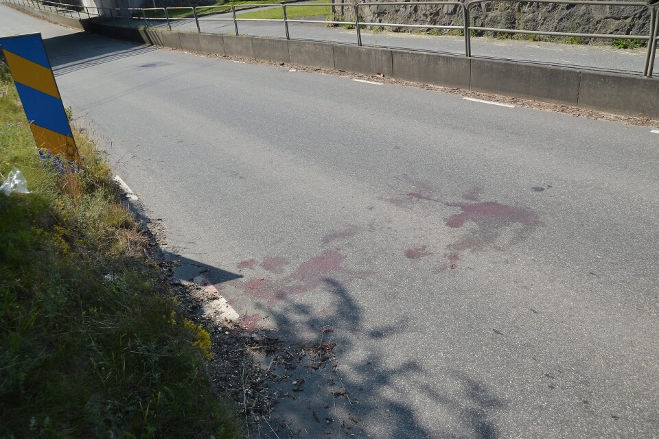 Blodspår längs vägen där den skadade släpat sig. Arkivbild