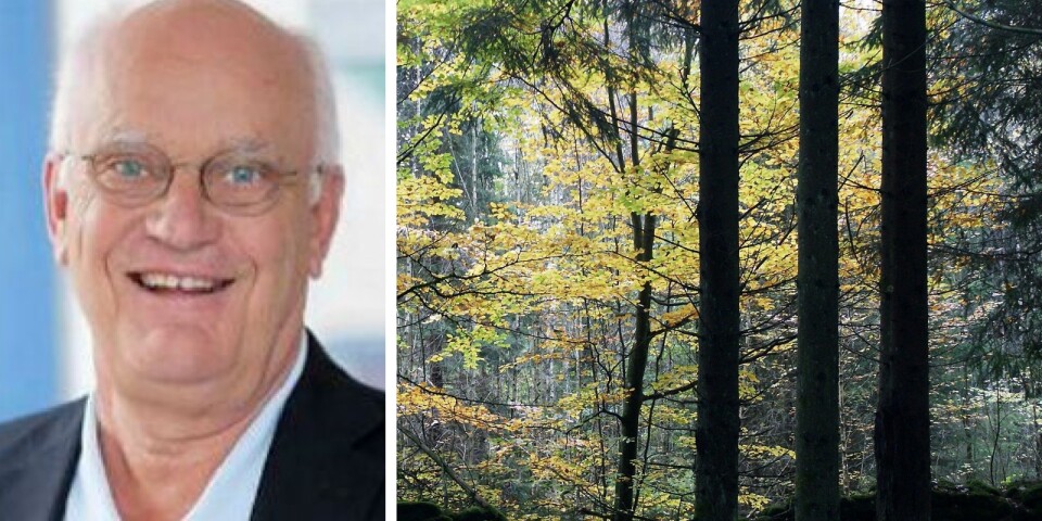Han har köpt skog för 72 miljoner kronor i Kronoberg – på bara ett år