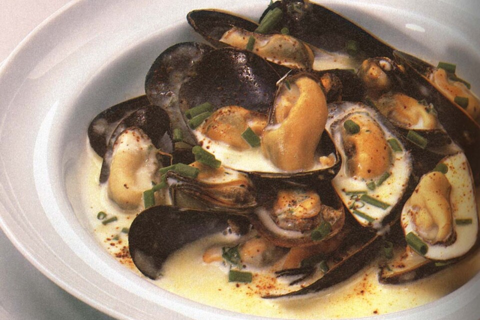 Mussels cooked in wine, with shallots and cream, here with chives as well. Simple and tasty.