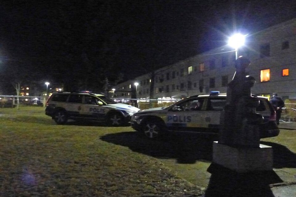 Polisingripande på Hässleholmen i Borås.