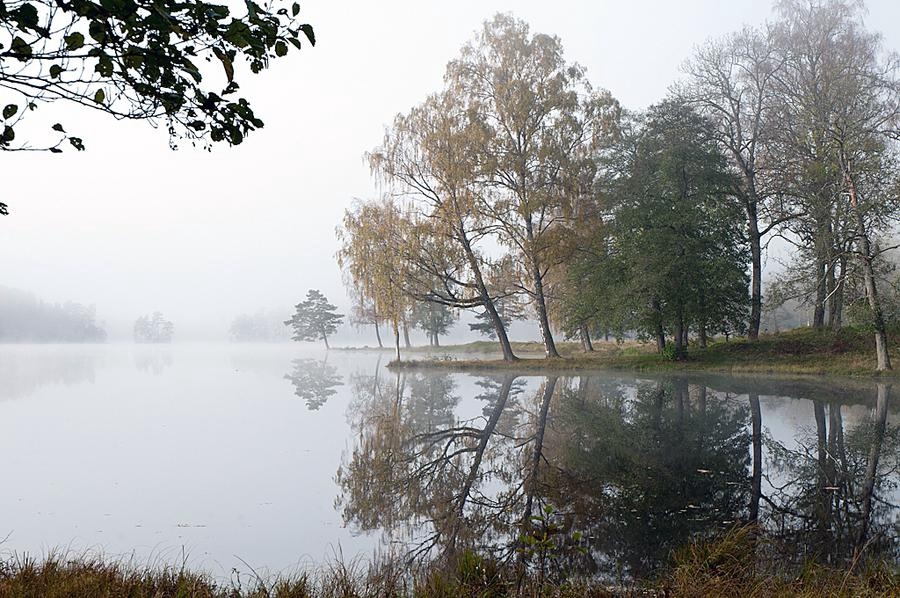 En höstbild tagen runt Torpa stenhus i oktober. Foto: Bo-Lennart Andersson