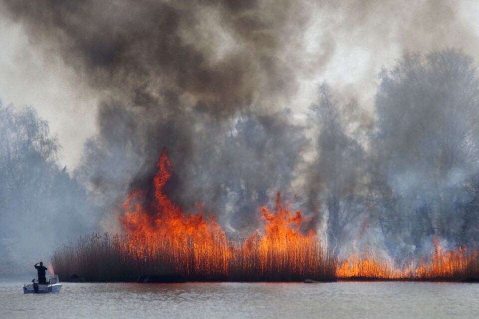 En stor del av Ramsö brinner nu okontrollerat.