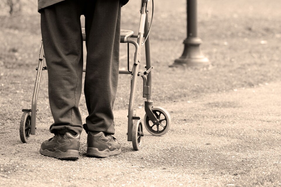 Senior man taking a walk in a park with the aid of a walking frame