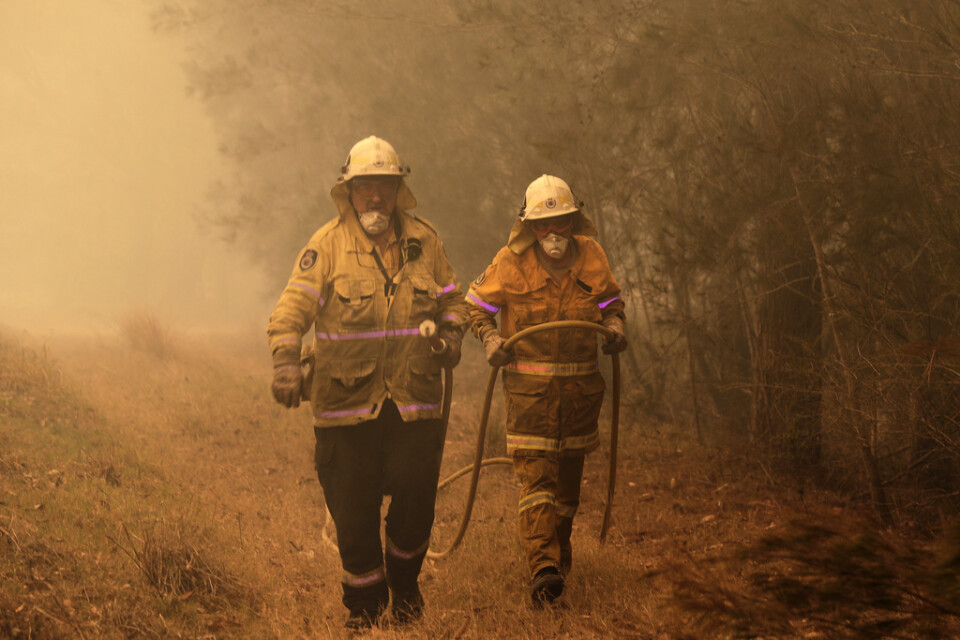Brandmän släcker en brand i Moruya i Australien. En värmebölja försvårar släckningsarbetet.