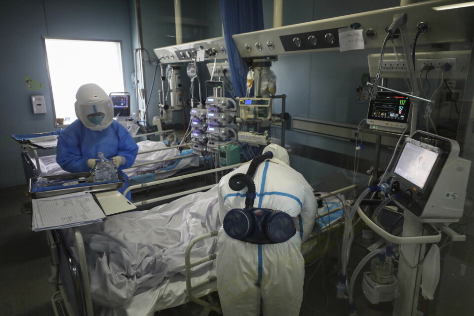 Sjukvårdare behandlar en virussmittad patient på Jinyintansjukhuset i Wuhan i Hubeiprovinsen i Kina.