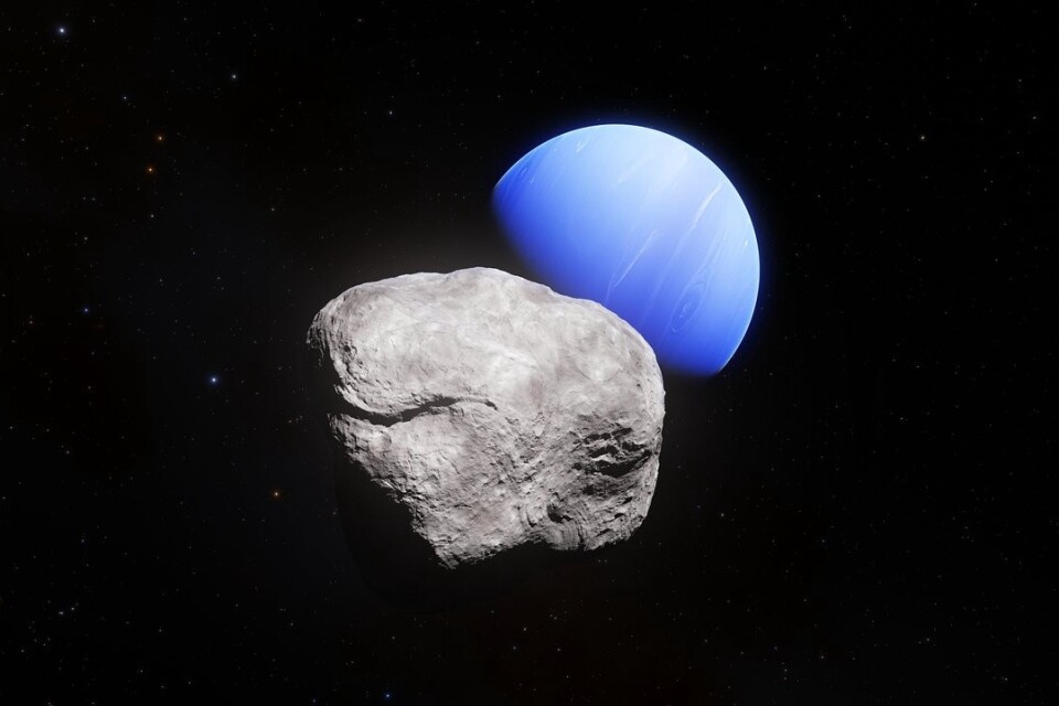 Den yttersta planeten i solsystemet och dess minsta måne. Illustration: ESA/Hubble, NASA, L. Calçada