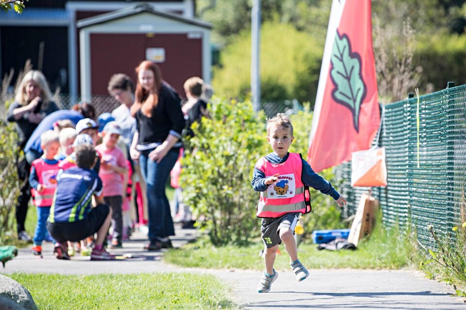 Förskolan Backsippans elever sprang Bamselinas hälsolopp och senare på dagen hissades Grön flagg. Foto: Marcus Palmgren