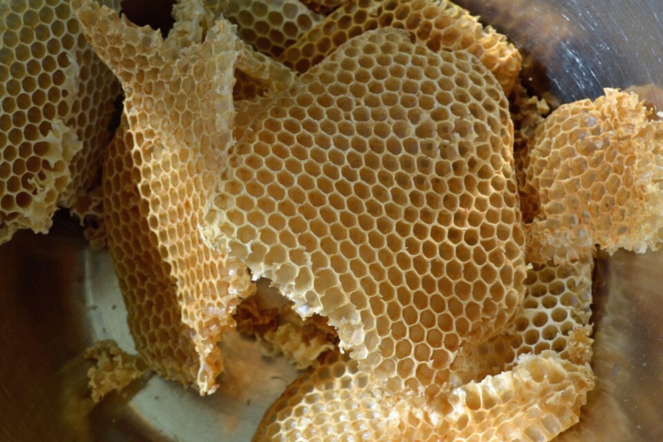Vax från bin kan användas till mycket.