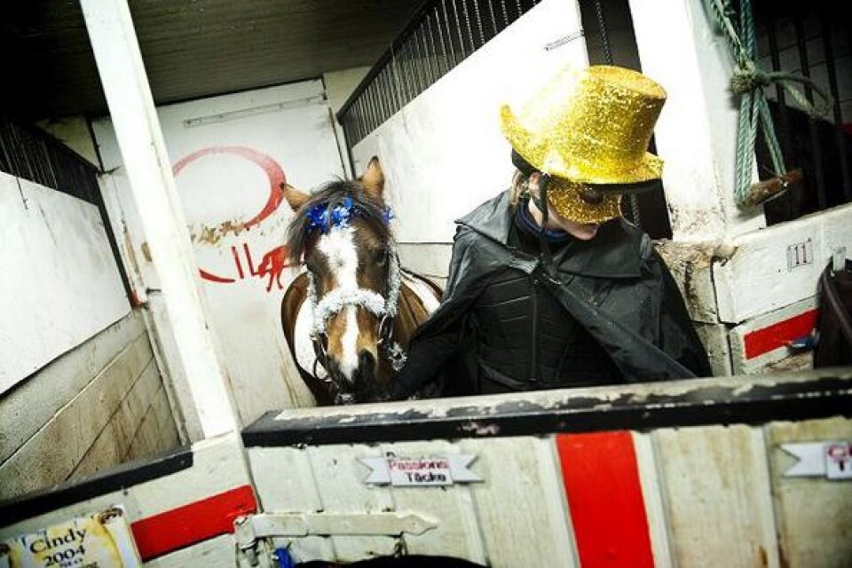Julia Jingfors i guldmask tar hand om hästen Cindy efter avslutad uppvisning.