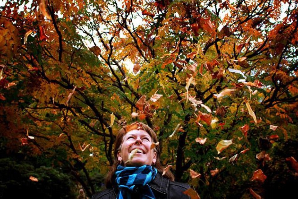 Suzanne Öhlund, legitimerad psykolog vet hur man överlever hösten. Att kasta höstvackra löv över sig verkar åtminstone få henne på gott humör