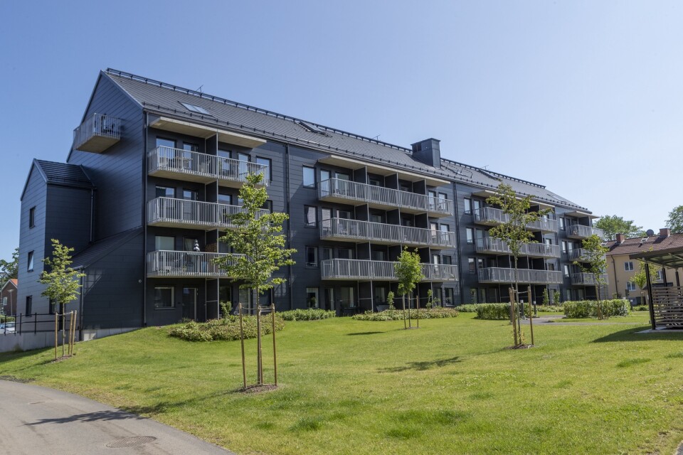 Bostadsområdet Ekedal i centrala Skövde består av 150 lägenheter som hyrs ut med speciella ungdomskontrakt. Alla hyrestagare är under 30 år.