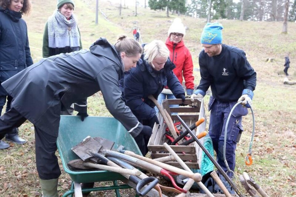 Studenterna på SLU Alnarp hjälper Fabian Rimfors att rensa bort sly från skidbacken.